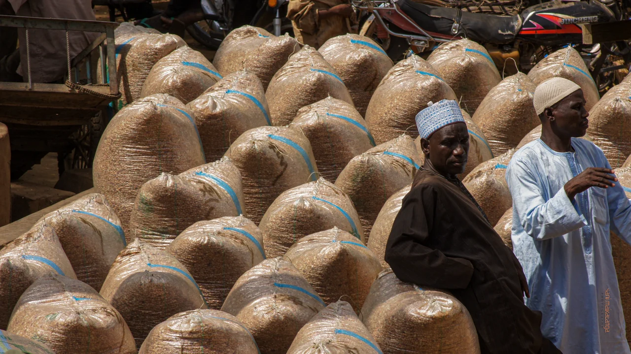Grain traders at Dawanau Market, Kano.