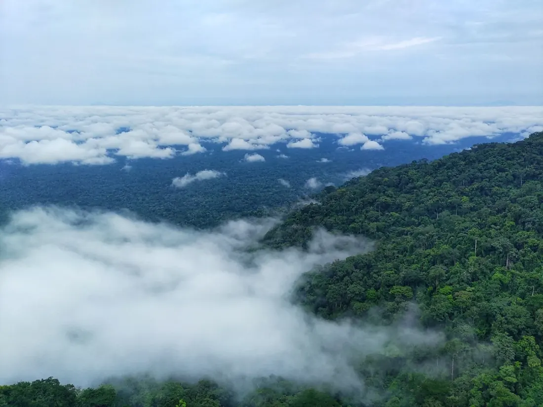 Rainforest-covered Mbe Mountains beneath cloud cover in Cross River State.
