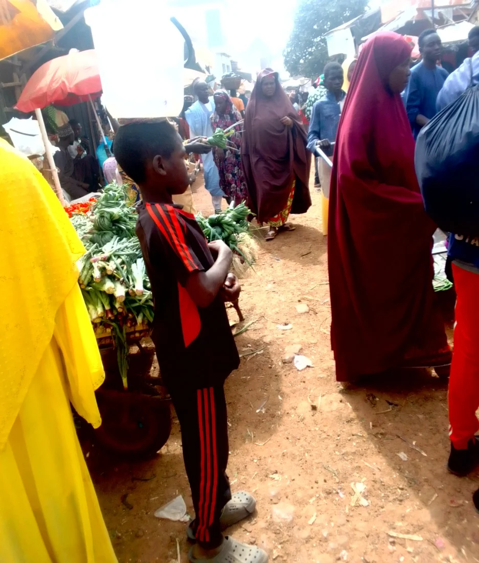 Market trading in Yobe State, December 2024.